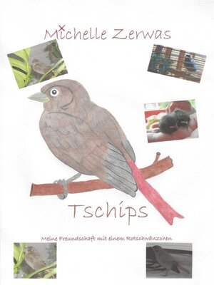 cover image of Tschips-- Meine Freundschaft mit einem Rotschwänzchen